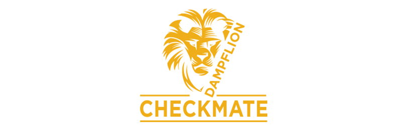 Checkmate by Dampflion