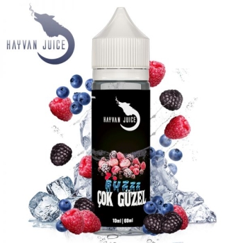 Hayvan Juice - Cok Güzel (Steuerware)