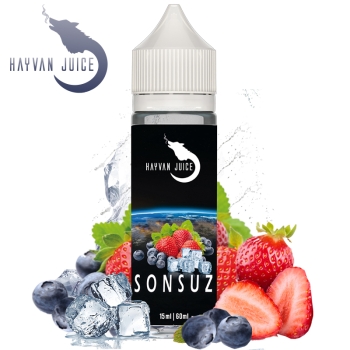 Hayvan Juice - Sonsuz (Steuerware)