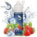 Hayvan Juice - Dünya (Steuerware)